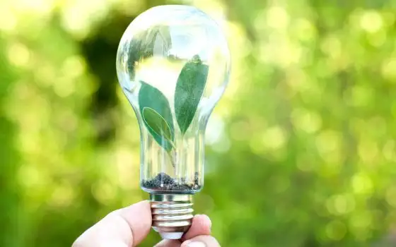 Luce a 0,10€ e Gas a 0,36€: l'incredibile tariffa fissa di Octopus