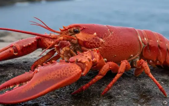 OpenAI assume il fondatore di OpenClaw: agenti AI per tutti