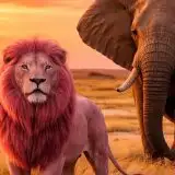 AI e privacy: DuckDuckGo lancia l'editor immagini anonimo