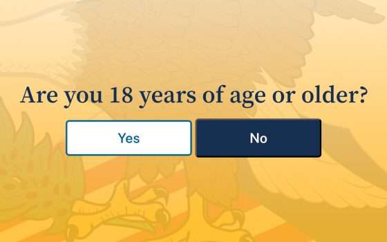 Gli Epstein Files e l'age gate più inutile di sempre