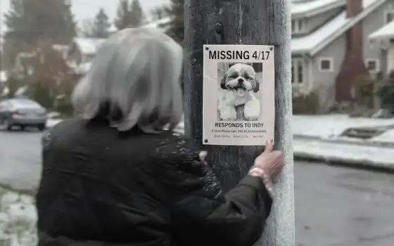 Le email segrete di Ring: dalla ricerca dei cani ai criminali