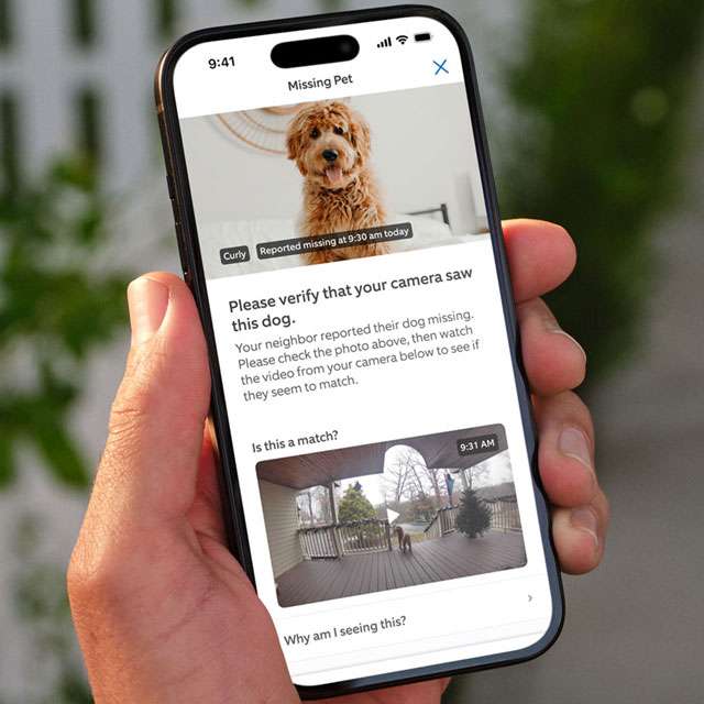 Ring Search Party per ritrovare i cani smarriti