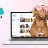 Offerta di San Valentino a tempo limitato: pCloud taglia del 50% i piani a vita
