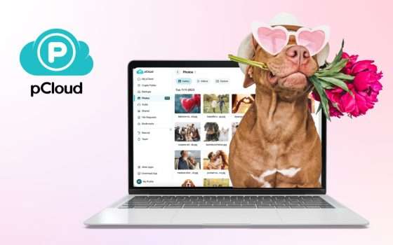 Offerta di San Valentino a tempo limitato: pCloud taglia del 50% i piani a vita