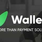 Scopri Wallaster, le migliori carte di pagamento per la tua azienda