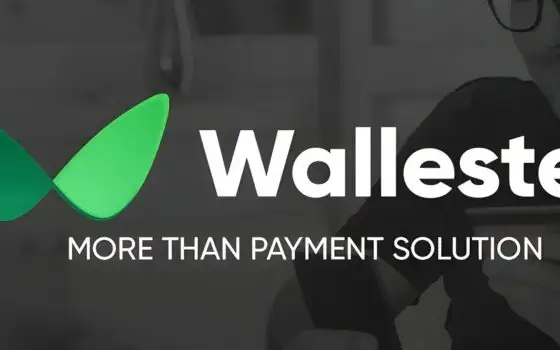 Scopri Wallaster, le migliori carte di pagamento per la tua azienda
