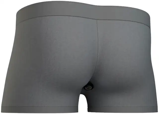 Il sensore Smart Underwear