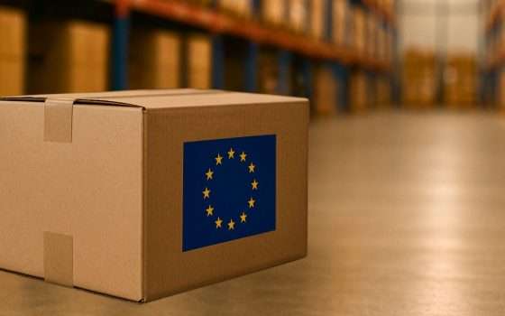 Pacchi da Temu e Shein: la tassa da 2 euro è già un fallimento?