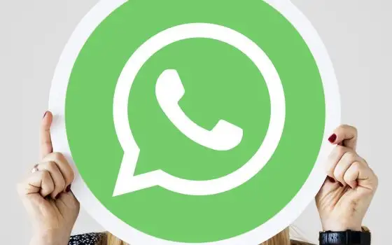 Su WhatsApp Web sono in arrivo le chiamate audio e video