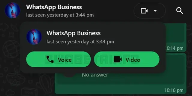 Chiamate audio e video su WhatsApp Web