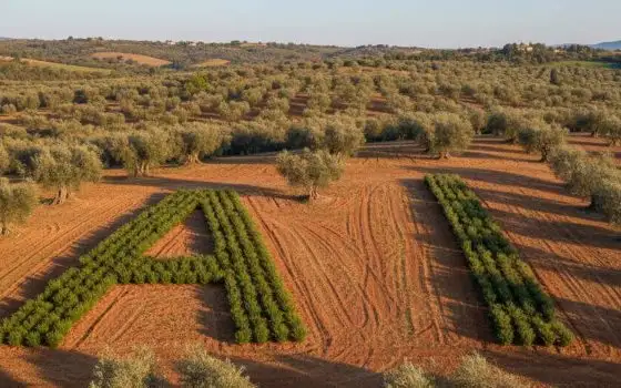 TraceMap: intelligenza artificiale contro le frodi alimentari