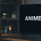 AnimePlay: smantellata la piattaforma di streaming