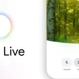Search Live arriva in Italia con Gemini 3.1 Flash Live