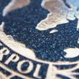 Interpol disattiva 45.000 indirizzi IP usati per truffe