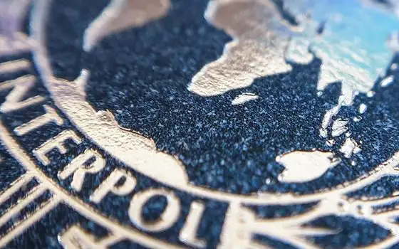 Interpol disattiva 45.000 indirizzi IP usati per truffe
