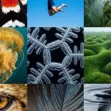 MAI-Image-2 di Microsoft genera immagini più realistiche