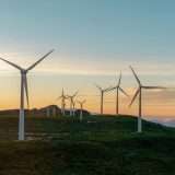 La tua mossa contro i rincari: scegli l'offerta luce e gas a prezzo fisso di Octopus