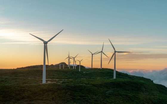 La tua mossa contro i rincari: scegli l'offerta luce e gas a prezzo fisso di Octopus