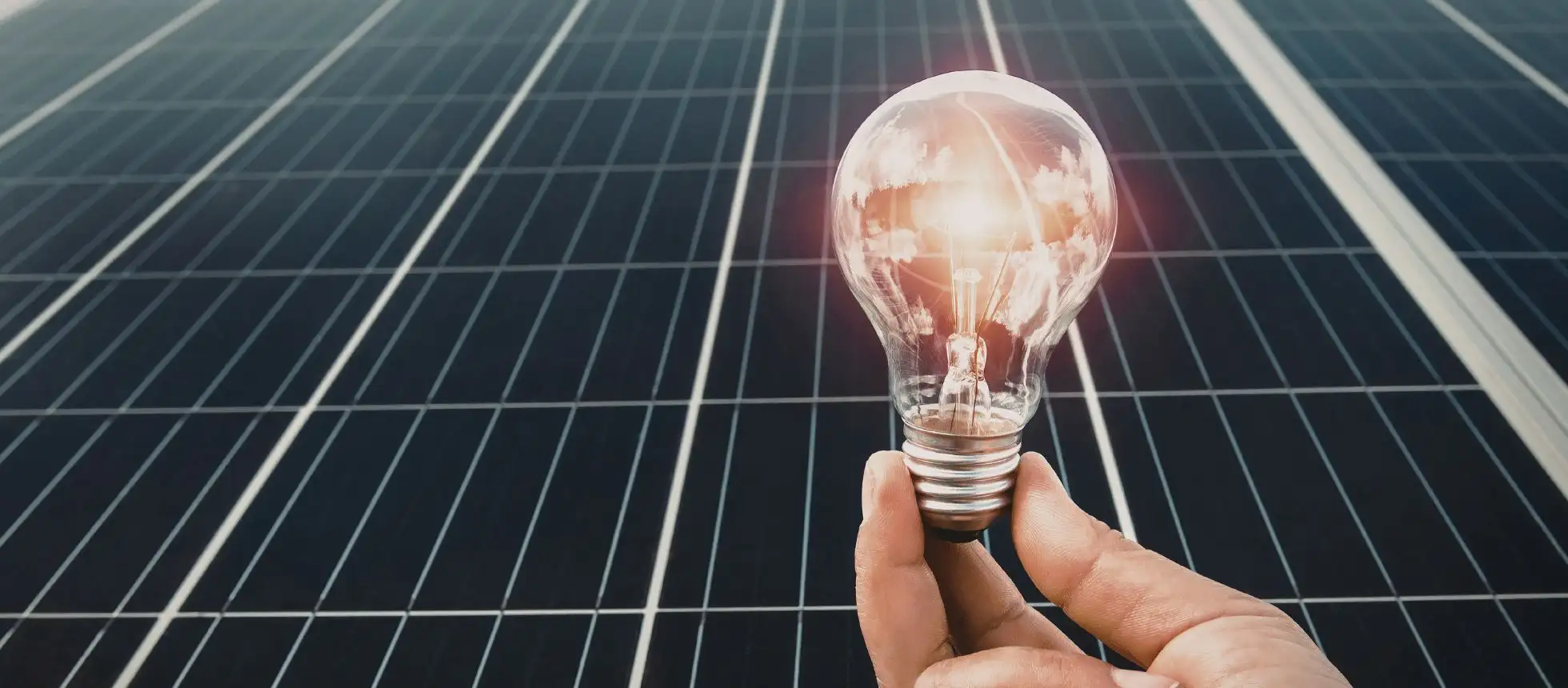 Octopus Energy offerta di oggi