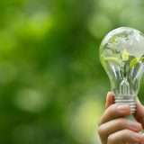 Proteggiti dai rincari con Octopus: tariffa luce e gas a prezzo fisso per un anno