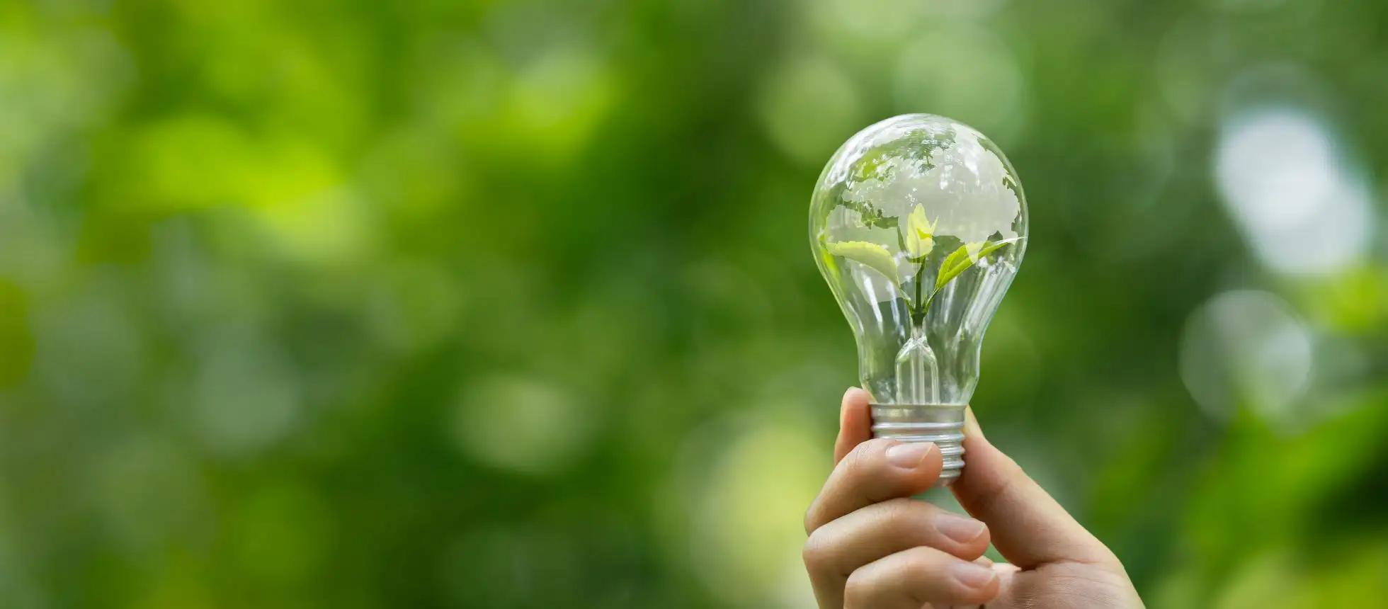 Proteggiti dai rincari con Octopus: tariffa luce e gas a prezzo fisso per un anno