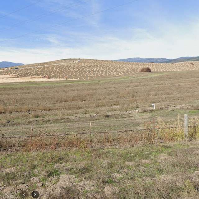 Il luogo della fotografia Bliss