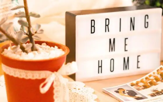 Airbnb ti viene a prendere e ti porta a casa con Welcome Pickups