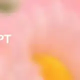 ChatGPT Health non riconosce le emergenze mediche: lo studio