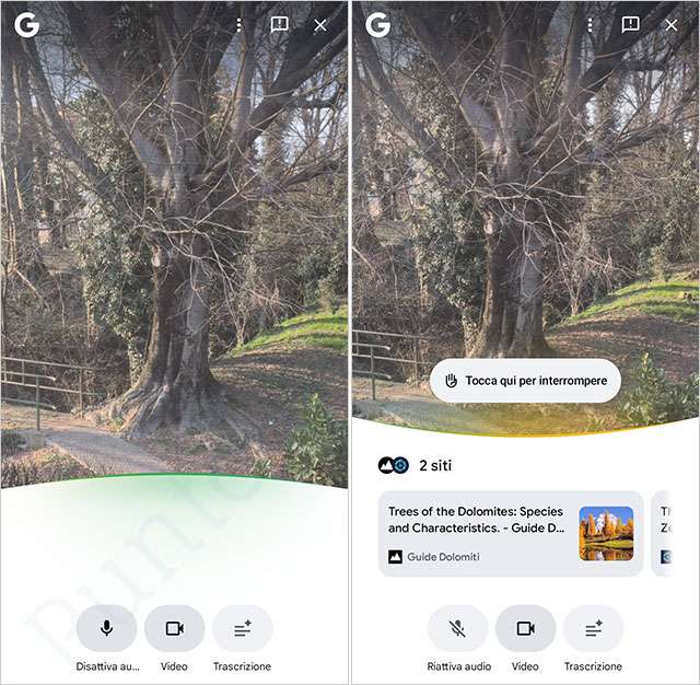 Come funziona la Ricerca Live di Google