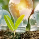 Bollette sempre troppo alte? Con Octopus Energia il prezzo è bloccato per 12 mesi