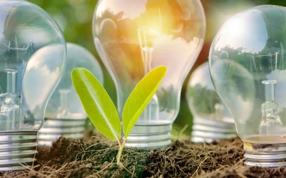 Bollette sempre troppo alte? Con Octopus Energia il prezzo è bloccato per 12 mesi