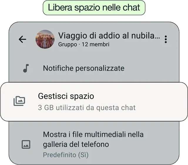 Nuove funzionalità per WhatsApp: libera spazio nelle chat
