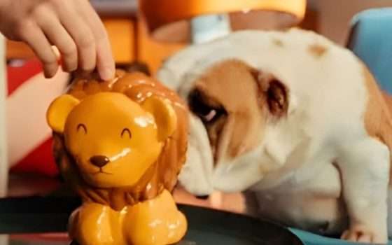 4% per 12 mesi? Apri un Conto Corrente Arancio e realizza i tuoi sogni