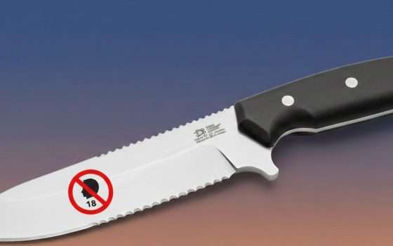 Netcomm: acquisto coltelli su e-commerce con SPID o CIE