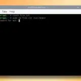 Raspberry Pi OS 6.2 chiede la password per il comando sudo