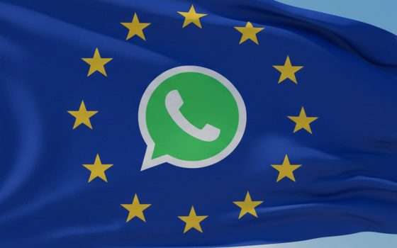 WhatsApp: l'accesso ai chatbot deve essere gratuito