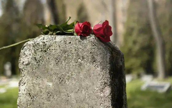 Cimiteri digitali: sospesa la sanzione del Garante ad Aldilapp