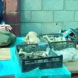 Cosa ha inghiottito questa città in un lago