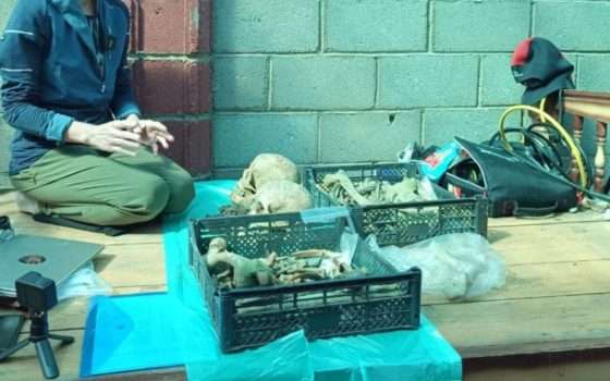 Cosa ha inghiottito questa città in un lago