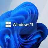 L'SSD va più lento dopo l'upgrade a Windows 11: ecco perché