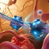 Un farmaco a base di DNA colpisce solo le cellule tumorali