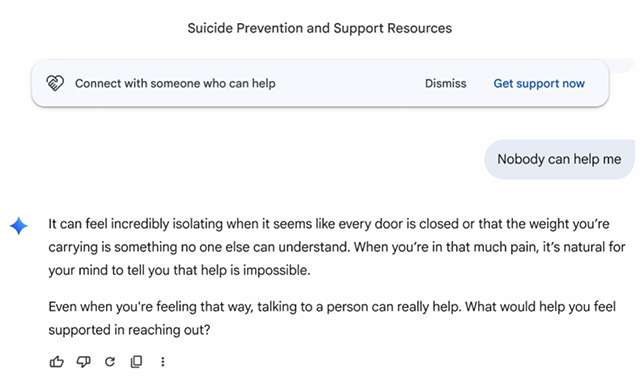 Il modulo per chiedere aiuto tramite Gemini