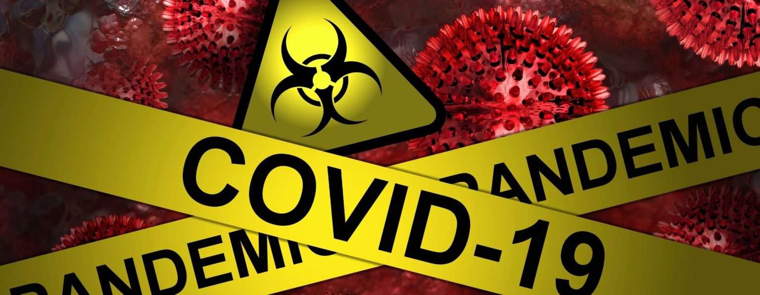 Anteprima: Nuova variante Covid Cicada: cosa sappiamo e quali sono i rischi