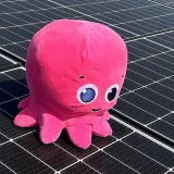 Blocca il costo dell'energia con Octopus: prezzi fissi per un anno, solo per oggi