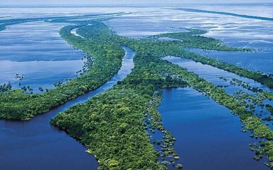 Perché il Rio delle Amazzoni, secondo fiume più lungo al mondo, non ha ponti