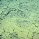 Scoperta una strada di mattoni gialli sul fondo dell'oceano