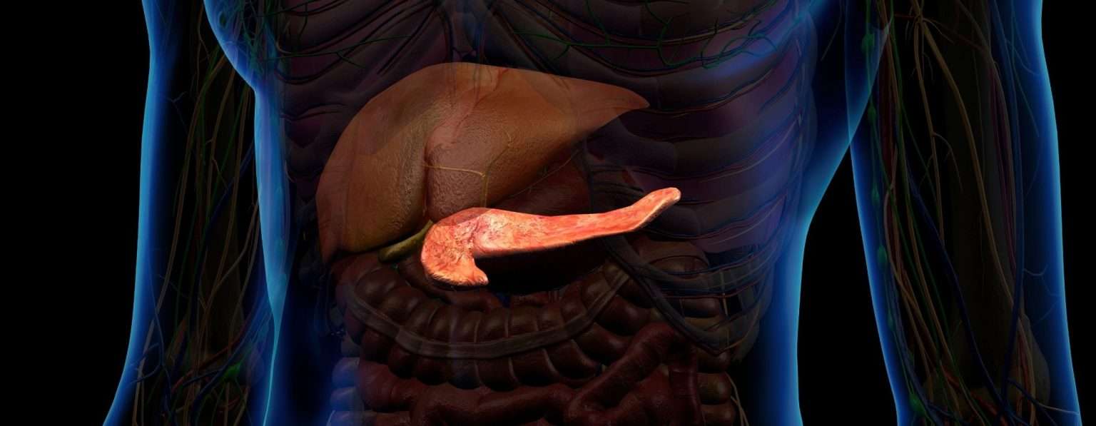 Anteprima: Un vaccino ha dato altri 6 anni vita a pazienti con cancro al pancreas