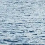 Pentagono usa Starlink per guidare i droni kamikaze in Iran