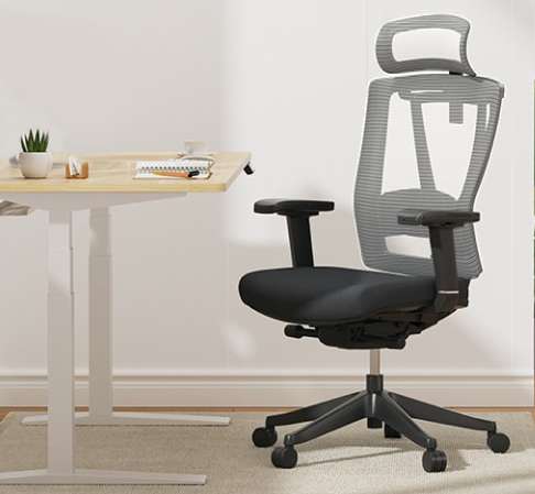 FlexiSpot sedia scrivania