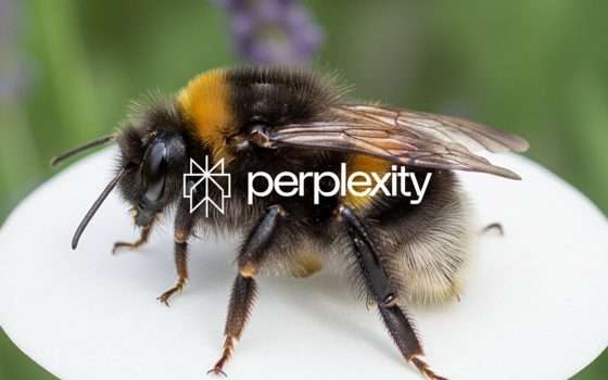 Perplexity Bumblebee: tool che scopre attacchi supply chain